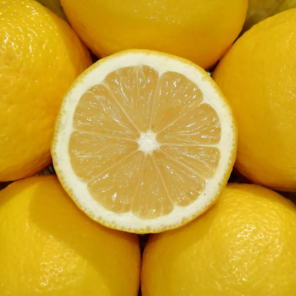 Przekrojona cytryna wśród owoców – nuta głowy perfum Chogan 129 Chlorophyll